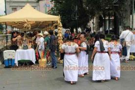 Xalapa, Ver., 5 de septiembre de 2026.- Este sábado se instaló en el Parque Juárez el Festival Gastronómico “Guardianas del Maíz”. Continuará el domingo con horario de 9 a 8 de la noche.
