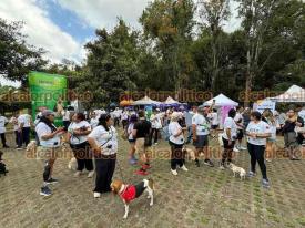 Xalapa, Ver., 12 de septiembre de 2026.- Este sábado, capitalinos respondieron a la convocatoria para el segundo evento “Pasea con tu Mascota”, que se llevó a cabo en la Benemérita y Centenaria Escuela Normal Veracruzana.
