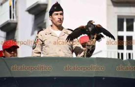Xalapa, Ver., 16 de septiembre de 2026.- Moderada presencia de personas se observó en el desfile cívico-militar la mañana de este miércoles. Concluidos los eventos patrios, la calle Enríquez volverá a ser abierta a la circulación.
