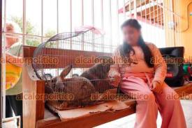 Xalapa, Ver., 3 de octubre de 2026.- En la capilla de San Francisco de Asís, patrono de los animales y de la ecología, feligreses llevaron a recibir la bendición a sus perros, gatos, conejos y gallinas.
